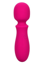 Bliss Liquid Silicone Rechargeable Mini Wand