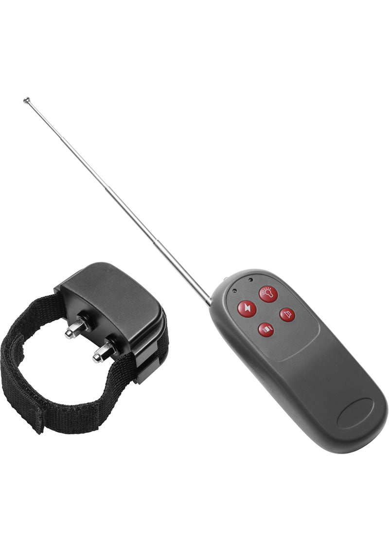 Master Series Cock Shock CBT Electric Cock Ring with Remote Control