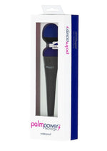 Palmpower Recharge Massager