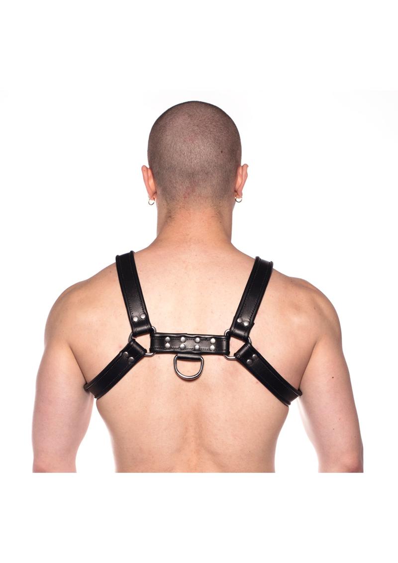 Prowler Red Bull Harness - Black - Small