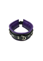 Rouge 3 D-Ring Padded Leather Adjustable Collar - Black/Purple