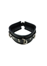 Rouge 3 D-Ring Padded Leather Adjustable Collar