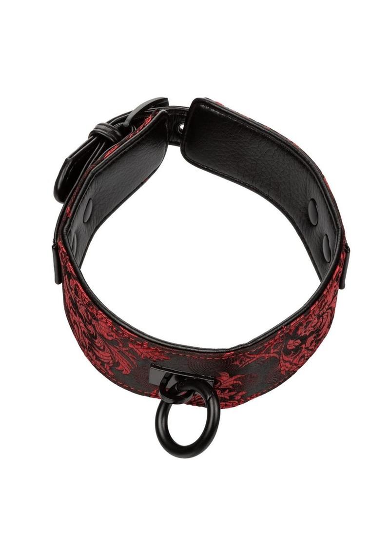 Scandal Collar with Leash - Black/Red