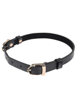 Sex and Mischief Double Buckle Day Collar