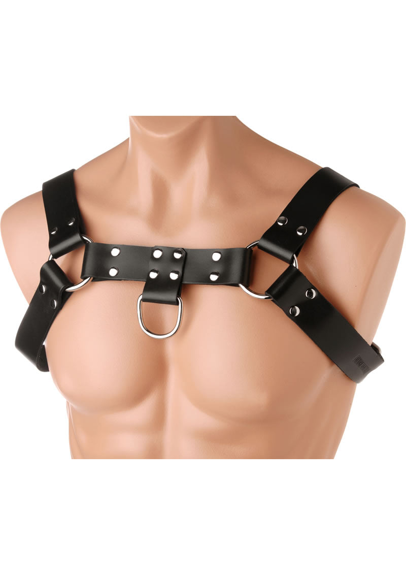 Strict Leather English Bull Dog Harness