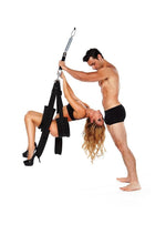 WhipSmart Pleasure Swing